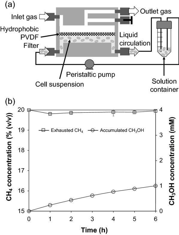 A novel inverse membrane bioreactor for efficient bioconversion from methane gas to liquid methanol using a microbial gas-phase reaction.