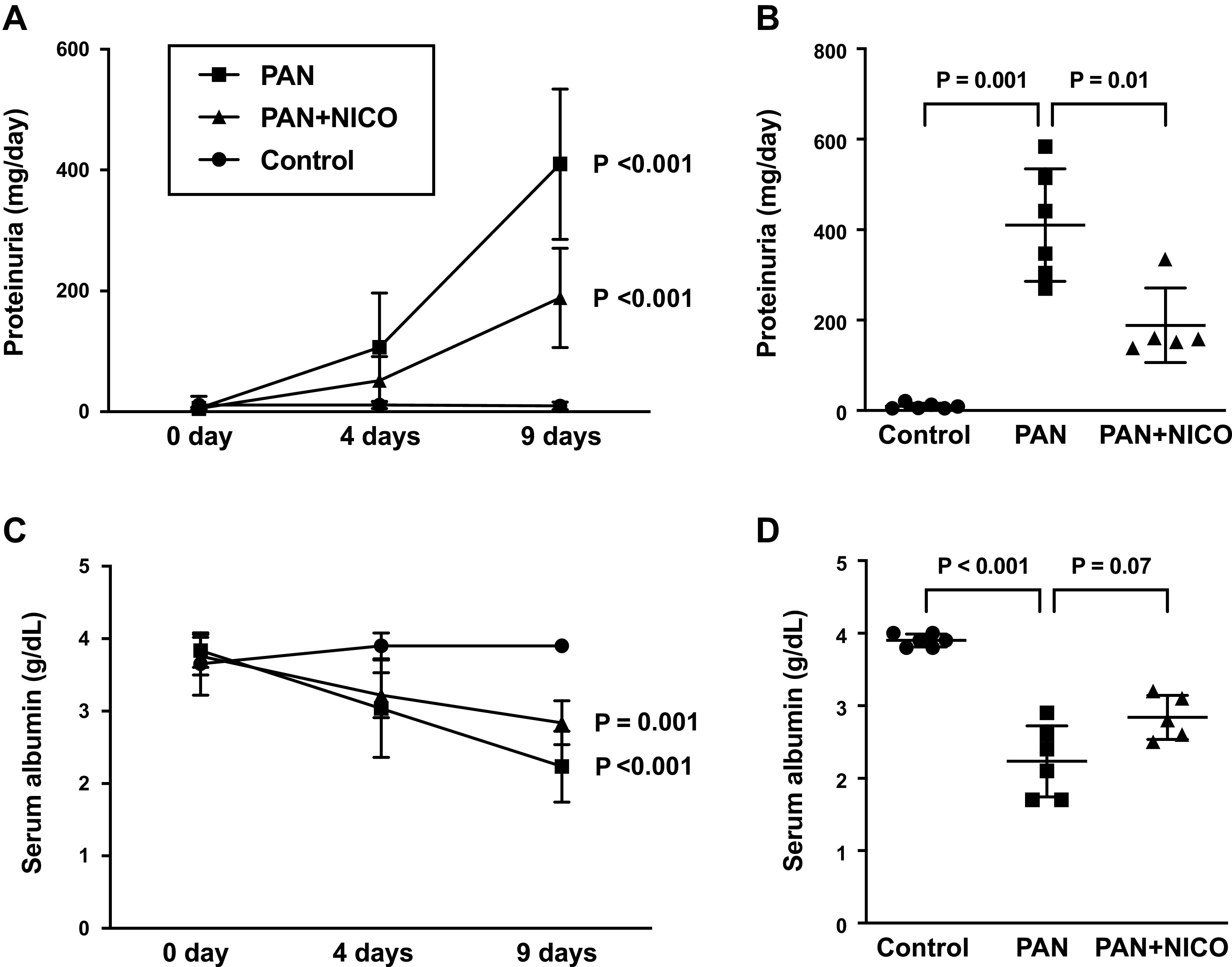 Nicorandil protects podocytes via modulation of antioxidative capacity in acute puromycin aminonucleoside-induced nephrosis in rats.