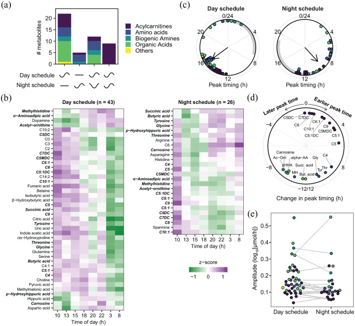 The Effect of Night Shifts on 24-h Rhythms in the Urinary Metabolome of Police Officers on a Rotating Work Schedule.