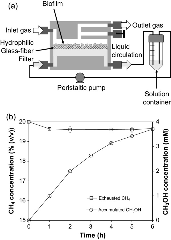 A novel inverse membrane bioreactor for efficient bioconversion from methane gas to liquid methanol using a microbial gas-phase reaction.