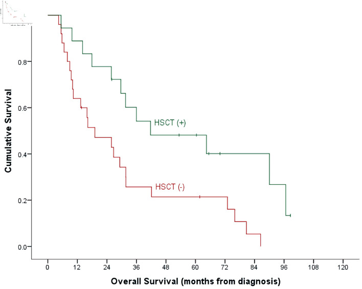 Clofarabine in Pediatric Acute Relapsed or Refractory Leukemia: Where Do We Stand on the Bridge to Hematopoietic Stem Cell Transplantation?