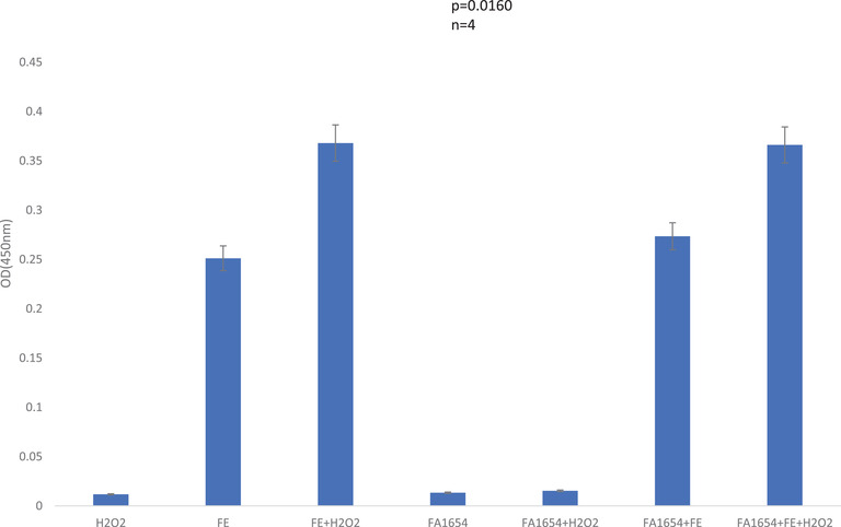 Characterization of FA1654: A putative DPS protein in Filifactor alocis.