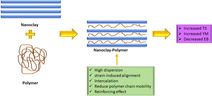 Nanoclays-containing bio-based packaging materials: properties, applications, safety, and regulatory issues.