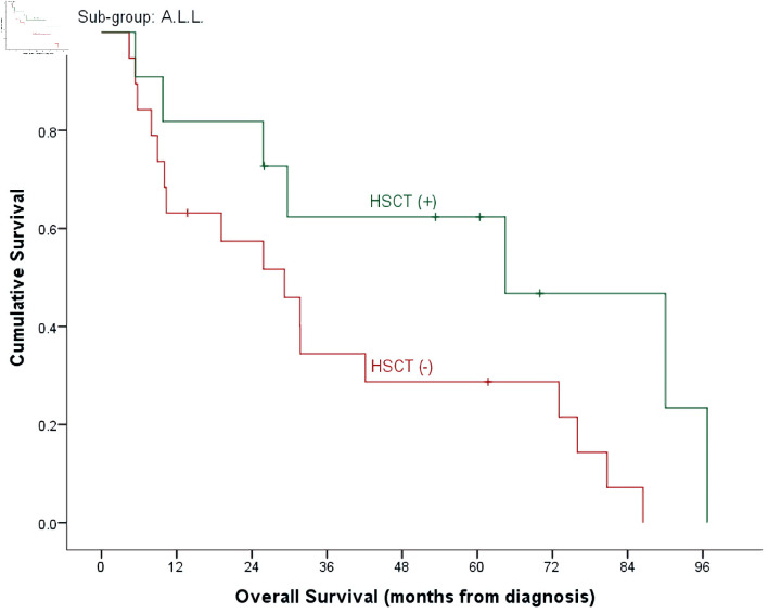 Clofarabine in Pediatric Acute Relapsed or Refractory Leukemia: Where Do We Stand on the Bridge to Hematopoietic Stem Cell Transplantation?