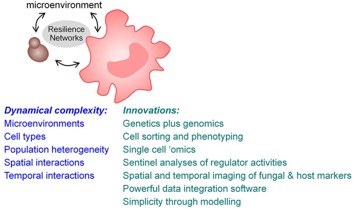 Fungal resilience and host-pathogen interactions: Future perspectives and opportunities.