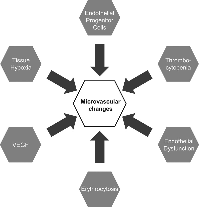 Nailfold video-capillaroscopy in the study of cardiovascular disease: a systematic review.