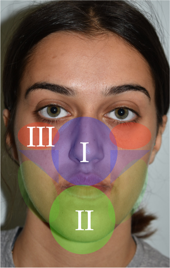 Zonal analysis in contemporary aesthetic orthognathic surgical planning.