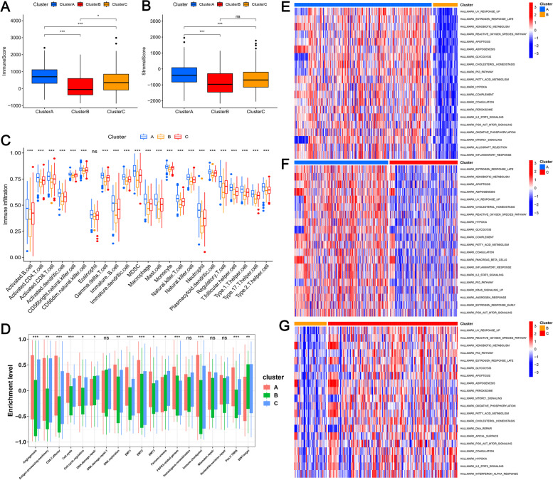 m6A-related lncRNA-based immune infiltration characteristic analysis and prognostic model for colonic adenocarcinoma.