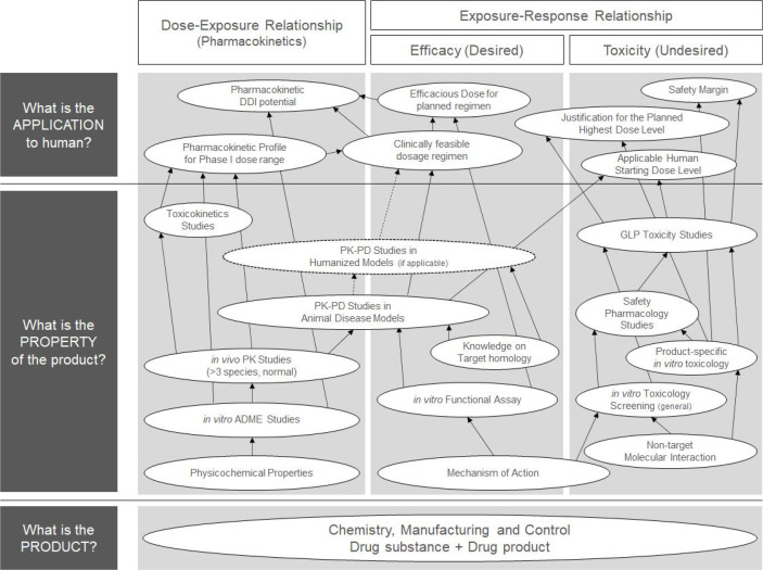 Establishing Rationale for the Clinical Development of Cell Therapy Products: Consensus between Risk and Benefit.