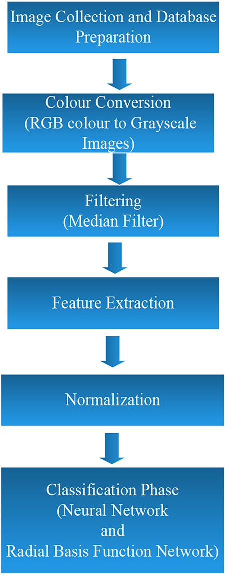 Eye Melanoma Diagnosis System using Statistical Texture Feature Extraction and Soft Computing Techniques.