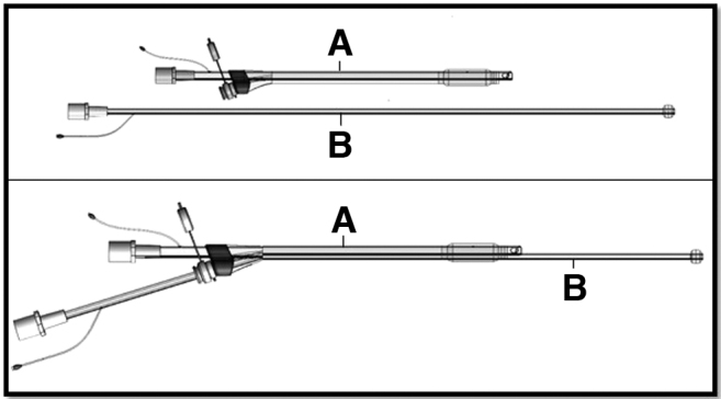 Positron Emission Tomography-Computed Tomography Imaging of Selective Lobar Delivery of Stem Cells in <i>Ex Vivo</i> Lung Model of Mechanical Ventilation.