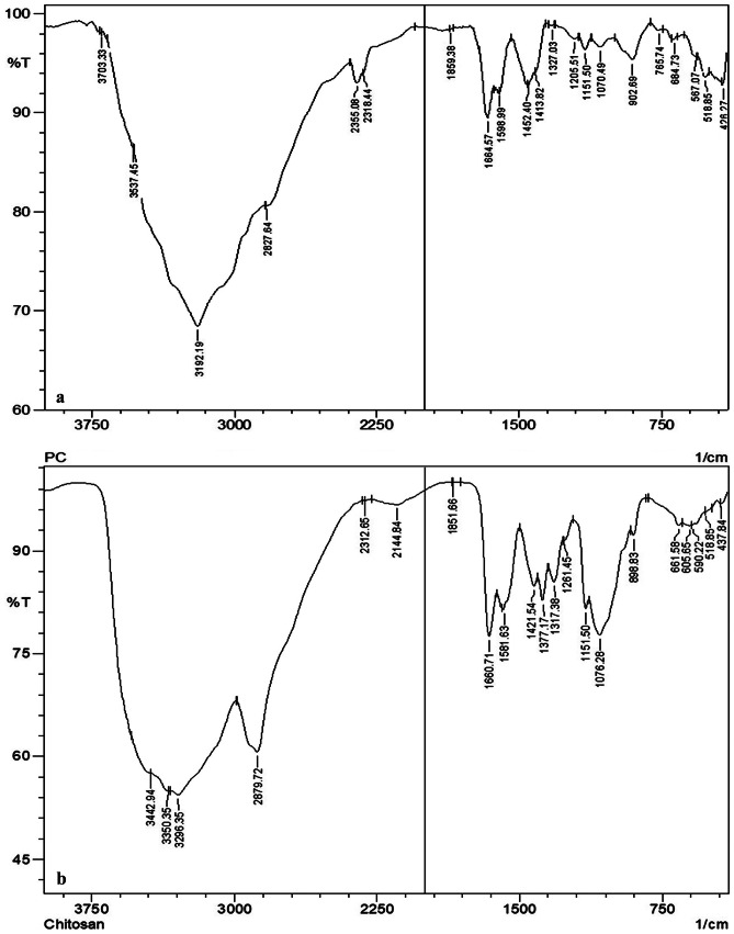 Phosphorylated chitosan accelerates dermal wound healing in diabetic wistar rats.