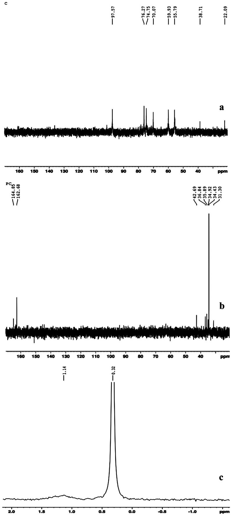 Phosphorylated chitosan accelerates dermal wound healing in diabetic wistar rats.