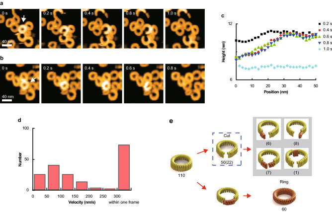 Visualizing the Domino-Like Prepore-to-Pore Transition of Streptolysin O by High-Speed AFM.