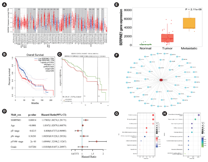 SERPINE1 as an Independent Prognostic Marker and Therapeutic Target for Nicotine-Related Oral Carcinoma.