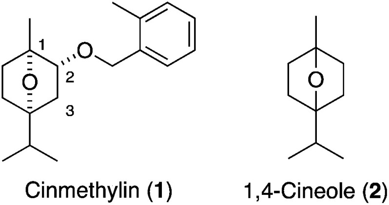 Synthesis and herbicidal activity of optically active cinmethylin, its enantiomer, and C3-substituted cinmethylin analogs.