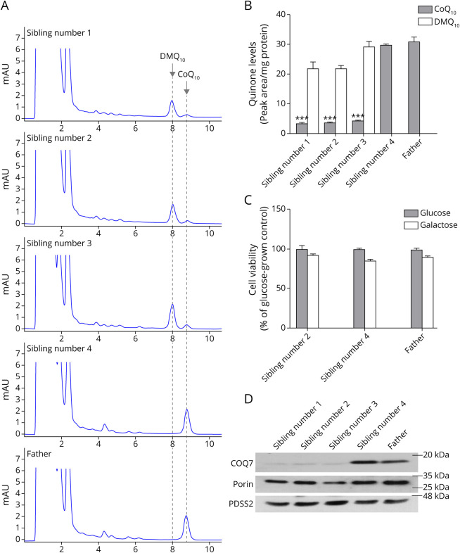 Novel Homozygous Variant in <i>COQ7</i> in Siblings With Hereditary Motor Neuropathy.