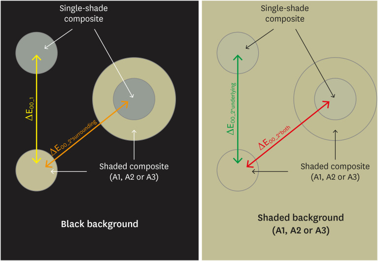 Effects of surrounding and underlying shades on the color adjustment potential of a single-shade composite used in a thin layer.