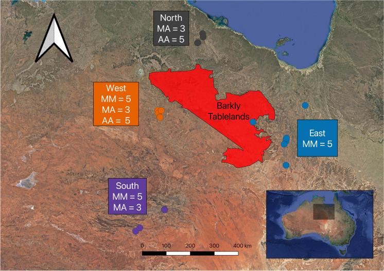 Widespread chromosomal rearrangements preceded genetic divergence in a monitor lizard, Varanus acanthurus (Varanidae).