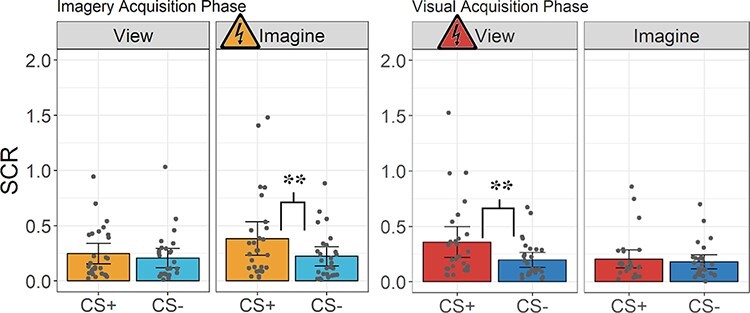 Fear in the mind's eye: the neural correlates of differential fear acquisition to imagined conditioned stimuli.