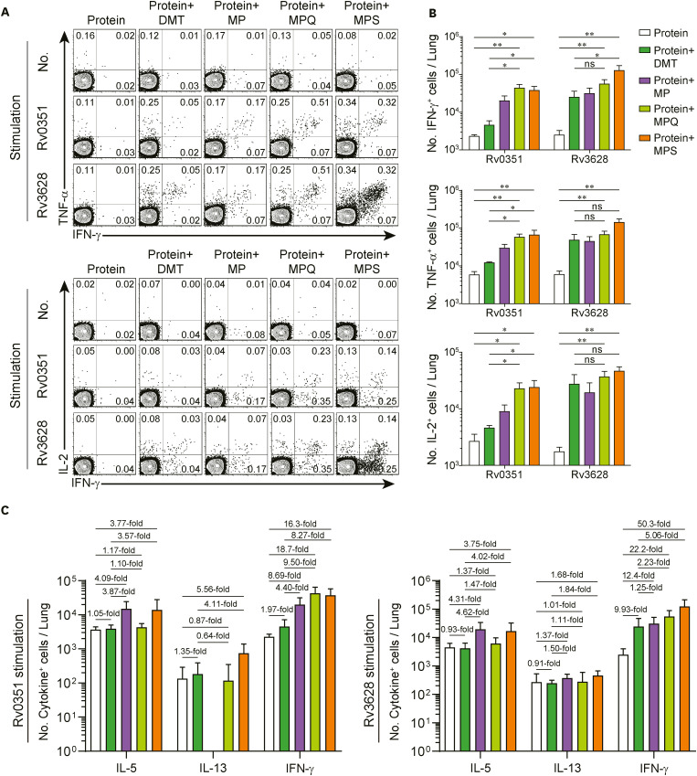 Protective Efficacy and Immunogenicity of Rv0351/Rv3628 Subunit Vaccine Formulated in Different Adjuvants Against <i>Mycobacterium tuberculosis</i> Infection.