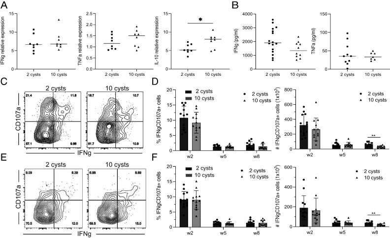 A Lower Dose of Infection Generates a Better Long-Term Immune Response against Toxoplasma gondii.