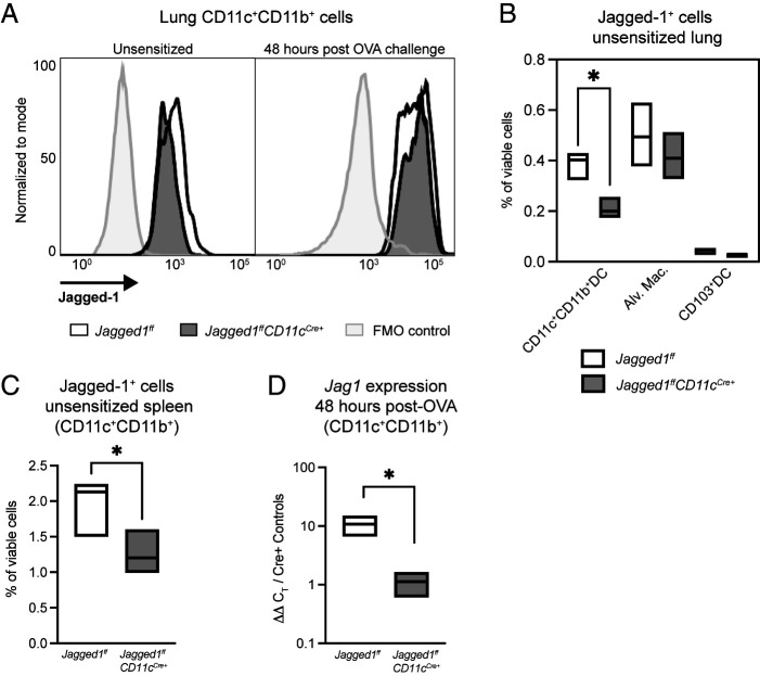 Jagged-1 Reduces Th2 Inflammation and Memory Cell Expansion in Allergic Airway Disease.