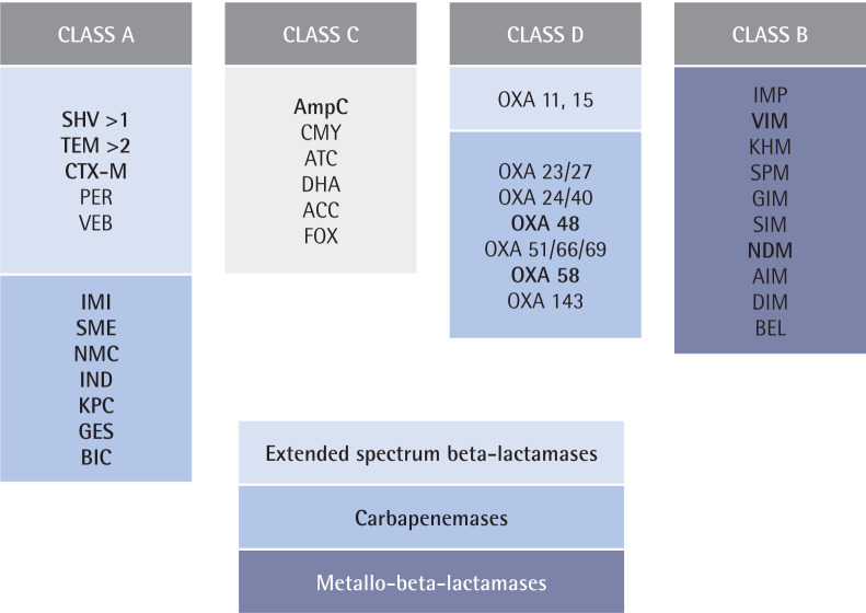 Antimicrobial resistance in Gram-negative bacilli in Spain: an experts' view.