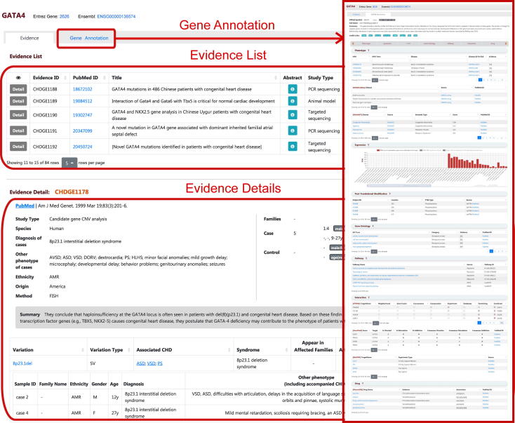 CHDbase: A Comprehensive Knowledgebase for Congenital Heart Disease-related Genes and Clinical Manifestations