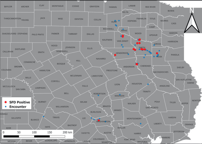 Incidents of snake fungal disease caused by the fungal pathogen <i>Ophidiomyces ophidiicola</i> in Texas.