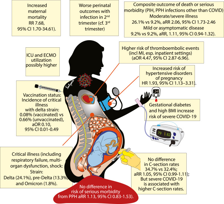 Maternal and neonatal outcomes following SARS-CoV-2 infection