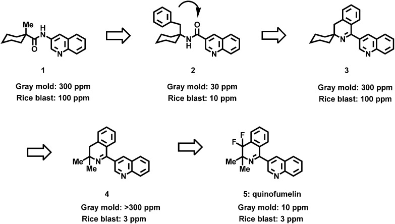 Design and biological activity of a novel fungicide, quinofumelin.