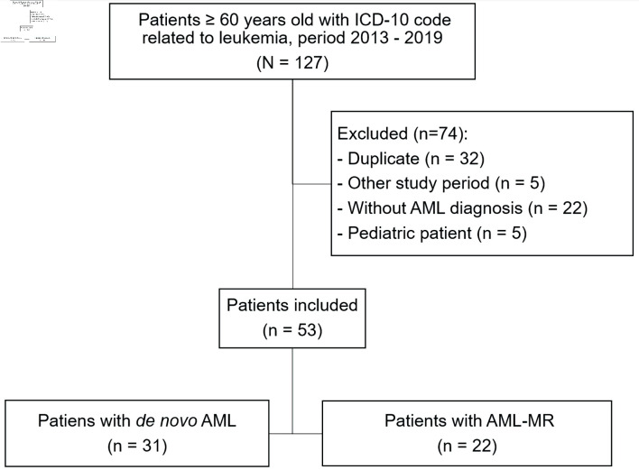 Survival in Elderly Patients Diagnosed With Acute Myeloid Leukemia: A Hospital-Based Study.