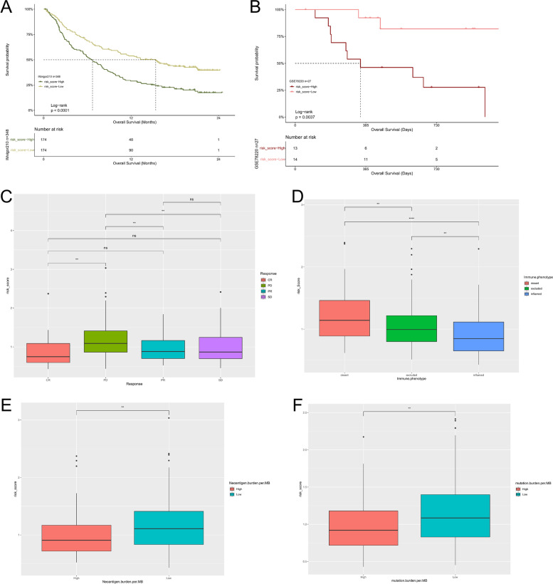 Development of a risk model based on autophagy-related genes to predict survival and immunotherapy response in ovarian cancer.