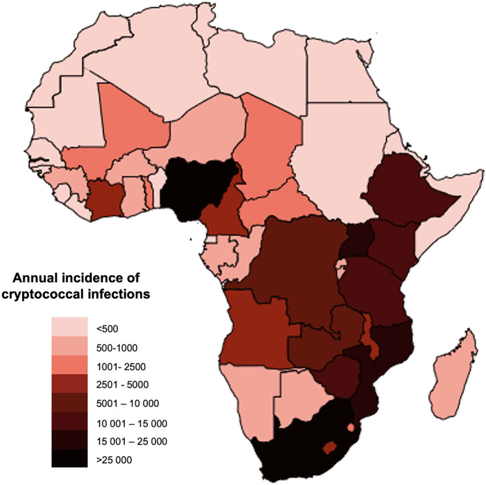 Emerging and re-emerging fungal threats in Africa.