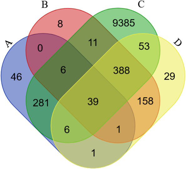 On the identification of potential novel therapeutic targets for spinocerebellar ataxia type 1 (SCA1) neurodegenerative disease using EvoPPI3.