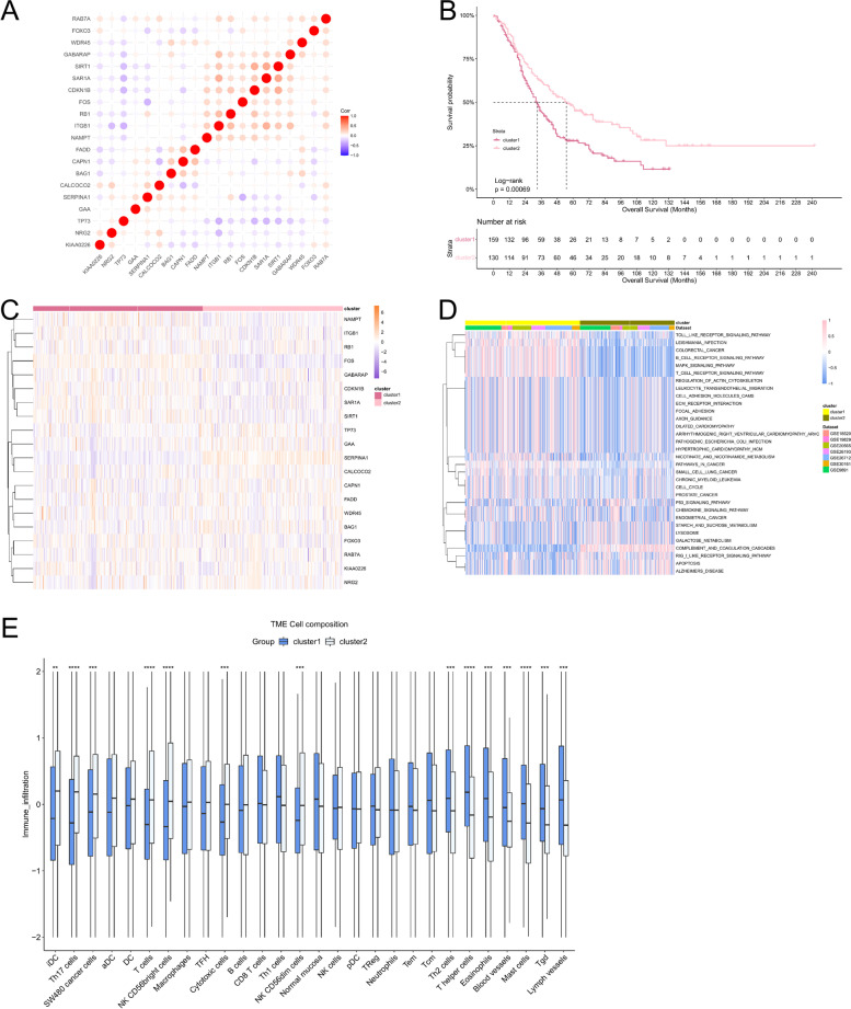 Development of a risk model based on autophagy-related genes to predict survival and immunotherapy response in ovarian cancer.