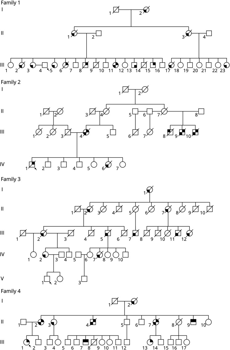 Prevalence of Frontotemporal Dementia in Females of 5 Hispanic Families With R159H VCP Multisystem Proteinopathy.