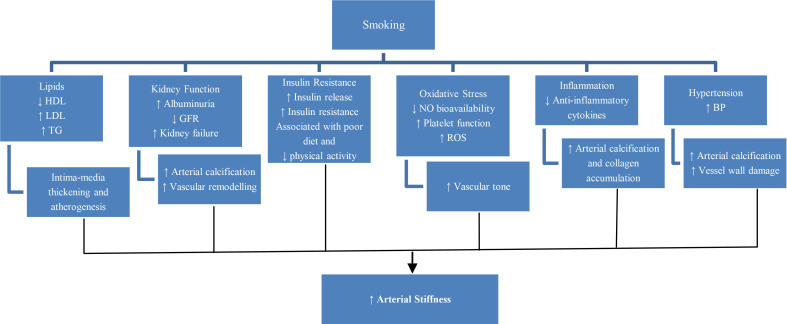 Association of Physical, Psychological and Psychosocial Attributes With Arterial Stiffness in Cardiovascular Disorders: A Systematic Literature Review.