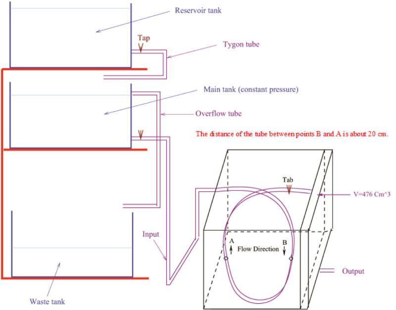 The Direction of Flow and Phase-encoding Schemes Effects on Signal Intensity in T1-weighted Inversion Recovery TurboFLASH Images.