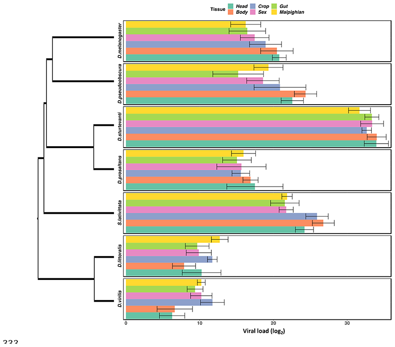 Heterogeneities in infection outcomes across species: sex and tissue differences in virus susceptibility.