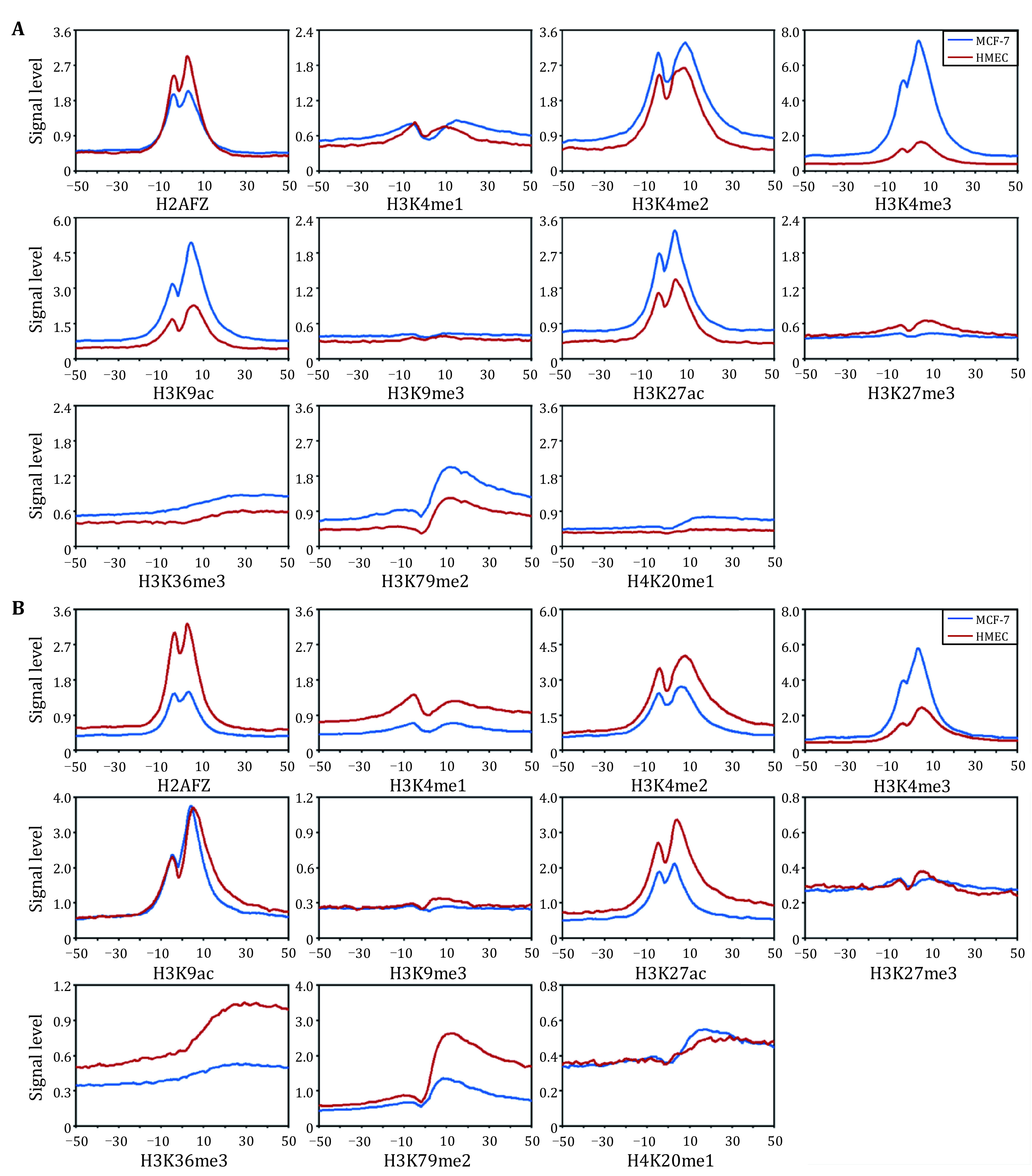 The risk model construction of the genes regulated by H3K36me3 and H3K79me2 in breast cancer.