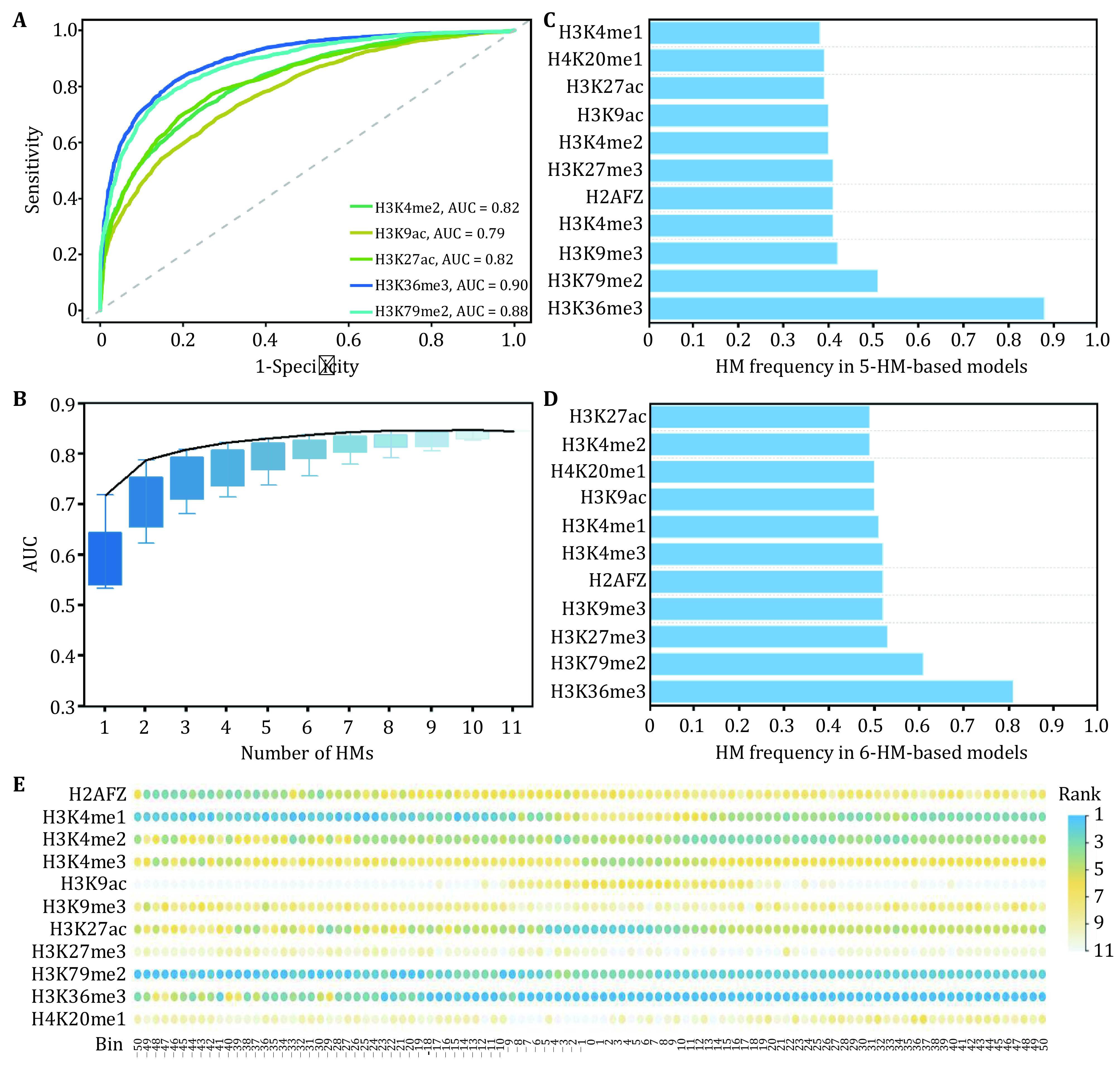 The risk model construction of the genes regulated by H3K36me3 and H3K79me2 in breast cancer.