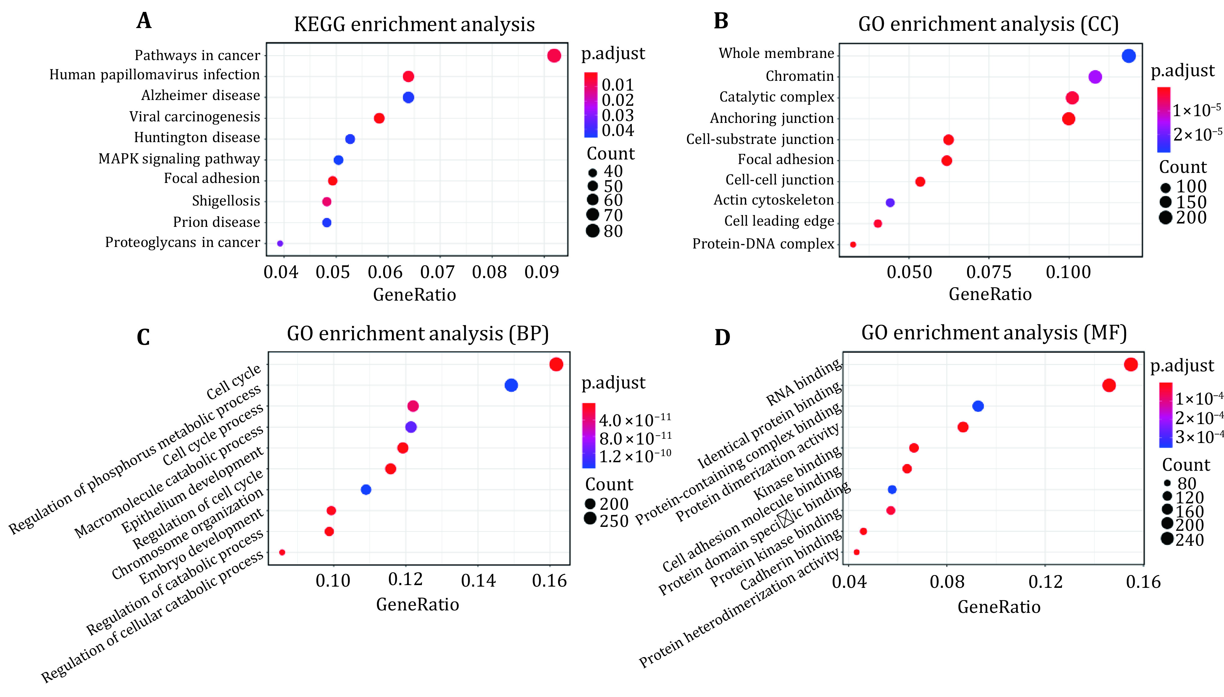 The risk model construction of the genes regulated by H3K36me3 and H3K79me2 in breast cancer.