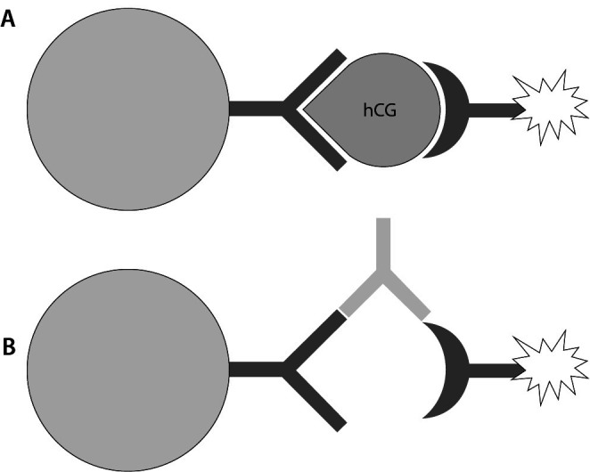 False positive result of human chorionic gonadotropin caused by human anti-mouse antibodies.