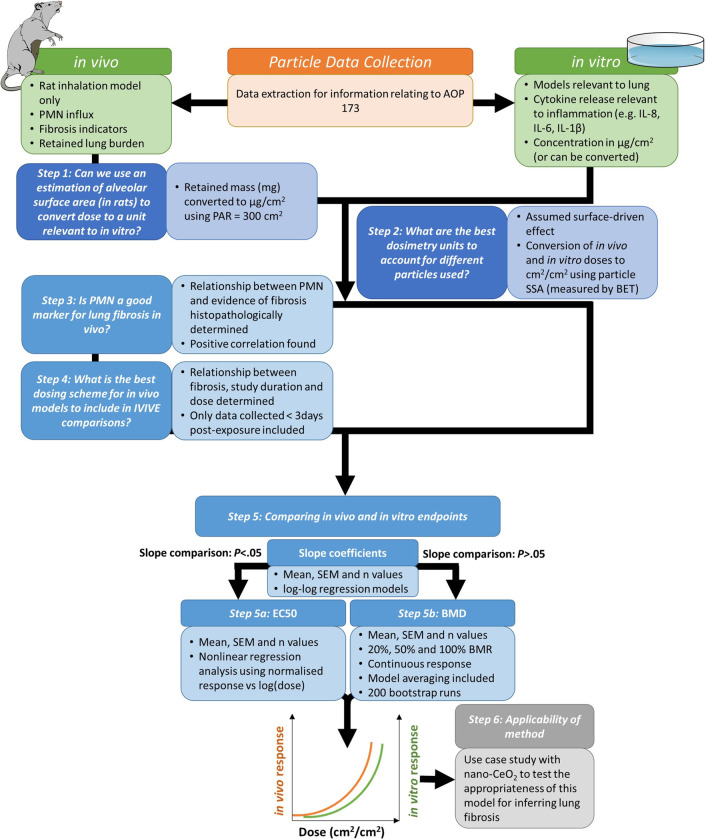 Establishing relationships between particle-induced in vitro and in vivo inflammation endpoints to better extrapolate between in vitro markers and in vivo fibrosis.