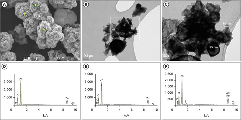 Physicochemical properties of a calcium aluminate cement containing nanoparticles of zinc oxide.