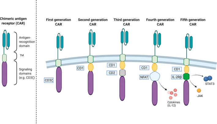 Chimeric Antigen Receptor T-Cell Therapy for Solid Tumors: The Past and the Future.