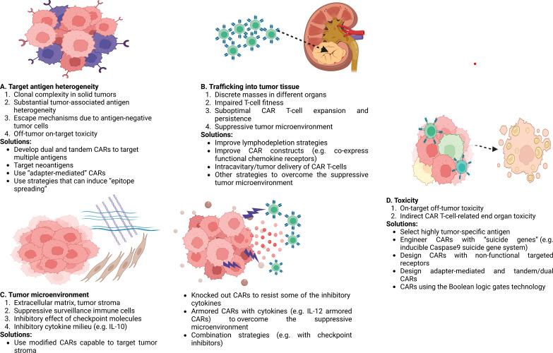 Chimeric Antigen Receptor T-Cell Therapy for Solid Tumors: The Past and the Future.