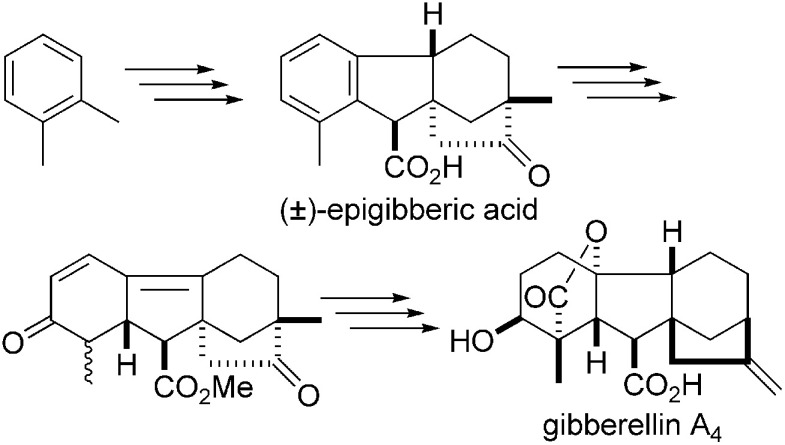 Overview of Kenji Mori's pheromone synthesis series.